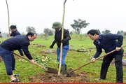 Một người dân tặng 5.000 cây xanh cho Công viên trung tâm thành phố Hà Tĩnh
