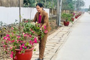 Về xã nông thôn mới kiểu mẫu ở Hải Phòng có đường làng sạch đẹp, muôn hoa khoe sắc, phố cũng không bằng