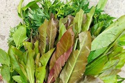 Những loại lá tưởng không ăn được nay lên đời thành đặc sản ở Tây Ninh