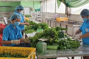 Ban hành Bộ tiêu chí phân hạng sản phẩm OCOP, các sản phẩm được công nhận trước đây có còn hiệu lực?