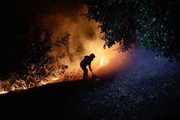 Cháy rừng lớn khiến 13 người thiệt mạng ở Chile
