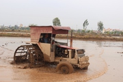 Nam Định: Đưa máy cấy, mạ khay vào sản xuất vụ xuân, lúa ma không còn đất sống