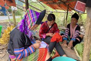 Một mùa xuân mới trên bản Mông của xã Phìn Hồ ở Lai Châu