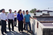 Tỷ phú nông dân ở một huyện của Nam Định tạo công ăn việc làm cho nhiều lao động nông thôn