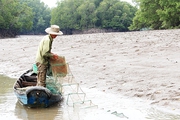 Dòng sông nào ở Đồng Nai tới mùa dân ra bắt vô số loài sản vật, con tôm tít to bự cầm nặng tay
