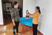 Tới mùa xuất hiện con "lộc trời", dân Bến Tre vớt bắt lên làm mắm đặc sản, nói tên nhiều người ham mua
