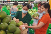 “Ông lớn” bán lẻ tại TP.HCM lùng tìm đặc sản, hàng OCOP miền Tây