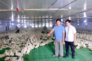 Nuôi vịt khác người, ngày nào cũng cho nghe nhạc, một ông nông dân Bắc Giang thu tiền tỷ