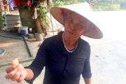 Chuyện lạ Nghệ An: Gà trống đẻ trứng có kích thước siêu nhỏ chỉ ngang đồng xu