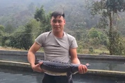 Nuôi loài cá đen như “tàu ngầm” trên đỉnh Tây Côn Lĩnh, nông dân người Dao thu hàng tỷ đồng mỗi năm