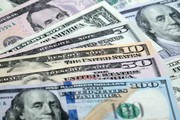 Tỷ giá USD ngày 13/3/2023 tiếp tục giảm