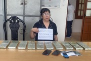 Hòa Bình: Vận chuyển thuê 20 bánh heroin với giá 100 triệu đồng