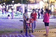 500.000 đèn LED tạo thành vườn sen, hoa sakura lộng lẫy trên bến Bạch Đằng
