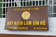 Huyện Sìn Hồ (Lai Châu): Liệu có chuyện "bảo kê" cho hành vi mua bán, vận chuyển gỗ quý trái phép như chủ xưởng tố?