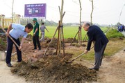 Phòng trào Ngày Chủ nhật xanh ở TT-Huế là điển hình để các tỉnh thành học hỏi 