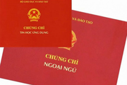 Bến Tre: 49 cán bộ, nhân viên y tế sử dụng bằng giả lãnh án