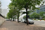 Con đường xứ Hàn đẹp đến nao lòng ngay giữa Thủ đô