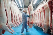Lào ra thông báo ngừng nhập khẩu thịt lợn từ Việt Nam, tiêu thụ trong nước không bị ảnh hưởng