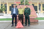Hà Tĩnh: Vườn Quốc gia Vũ Quang tiếp nhận trăn đất nặng hơn 5kg, dài 3m để chăm sóc và thả về tự nhiên
