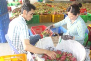 Giải cơn khát vốn của doanh nghiệp - Bài 2: Vì sao ngân hàng ngại cho doanh nghiệp nhỏ và vừa vay?