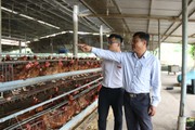 Agribank Đắk Lắk: Tổng dư nợ cho vay tăng gần 1.000 lần sau 35 năm hình thành, phát triển 