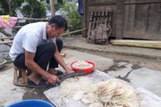 Hiệu quả từ các mô hình khuyến nông ở Phong Thổ