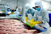 Xuất khẩu quý 1/2023 giảm tới 29%, thủy sản Việt Nam đang phải cạnh tranh gay gắt với những nước nào?