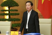 Phó Thủ tướng Trần Hồng Hà: Dự trữ xăng dầu không thể khoán trắng cho doanh nghiệp