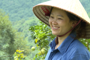 Đây là dòng tín dụng ưu đãi của Chính phủ đang giúp giảm nghèo, tăng hộ khá, hộ giàu ở Lai Châu