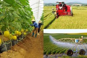 Cho vay nông nghiệp nông thôn lần đầu tiên vượt 1 triệu tỷ đồng