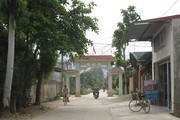 Làng người Thái Bình ở vùng đất Điện Biên ngày càng trù phú