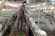 "Vạn thú gia trang" của cặp vợ chồng nông dân đất Hải Phòng nuôi những con gì mà nghe tên tò mò?