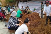 Nông dân Điện Biên có thêm thu nhập sau khi kết thúc các lớp học nghề kiểu "cầm tay chỉ việc"