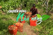 Chuyển động Nhà nông 18/4: Đào được mùa được giá, bà con vùng cao kiếm bộn tiền