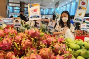 Một loại trái cây Việt Nam vào siêu thị Aeon Nhật Bản rất ít, nhưng khi đông lạnh, họ mua liền 360 tấn