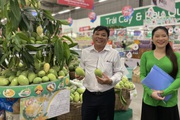 Xoài cát Đồng Tháp về siêu thị TP.HCM chỉ từ 20.000 đồng/kg
