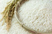 Giá gạo Việt Nam lên mức cao nhất trong 2 năm