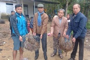 Hội Nông dân tỉnh Thừa Thiên Huế hỗ trợ gần 1,3 tỷ cho 17 mô hình sản xuất nông nghiệp 