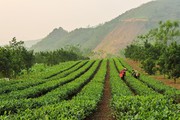 Xã vùng thấp Cao Sơn nỗ lực xây dựng nông thôn mới nâng cao