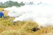 TT-Huế: Chủ tịch UBND cấp huyện phải chịu trách nhiệm khi để dân đốt rơm rạ sau thu hoạch 