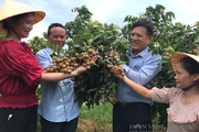 Nông dân Thanh Hoá đầu tư nuôi cá lồng, trồng cây ăn quả từ vốn vay Quỹ Hỗ trợ nông dân