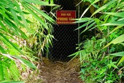 3 người chết ngạt trong hầm khai thác vàng ở Đắk Nông 