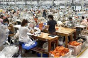 Vì một Việt Nam hùng cường, thịnh vượng