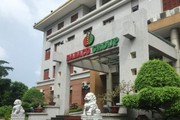 Dabaco (DBC) nói gì khi báo lỗ kỷ lục theo quý kể từ khi niêm yết?