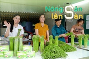 NÔNG SẢN LÊN SÀN: Trải nghiệm thu hoạch măng tây trên vùng đất Tổ 