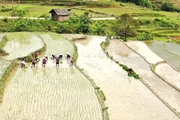  Lấp lánh Sa Pa mùa nước đổ