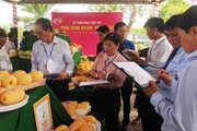 Hội thi trái xoài ngon tỉnh Đồng Tháp năm 2023, đây là nông dân có sản phẩm đạt giải Nhất