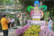 Festival hoa lan TP.HCM có nhiều giống lạ, thu hút đông người đến thưởng lãm
