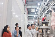Chủ nhà máy giết mổ heo lớn nhất TP HCM gồng lỗ 2 tỉ đồng/tháng