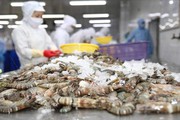 Trung Quốc dự kiến chi 7 tỷ USD mua 1 triệu tấn một loài thủy sản, mua của Việt Nam bao nhiêu?